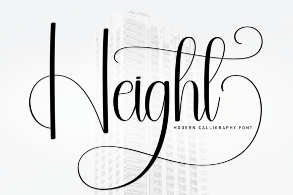 Height Font for Bold Campaign Headlines